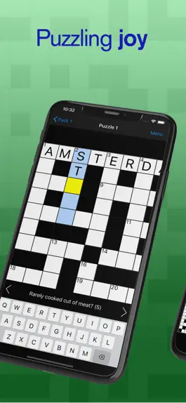 Game screenshot Cryptic Crossword apk