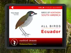 All Birds Ecuador field guide iPad image 1