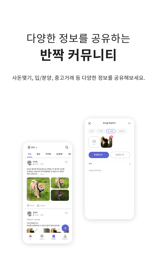 #5. 반짝피플-반려동물 친구, 집사들의 데이트, 산책하기 앱 (iOS) Ved: 피스폴솔루션즈