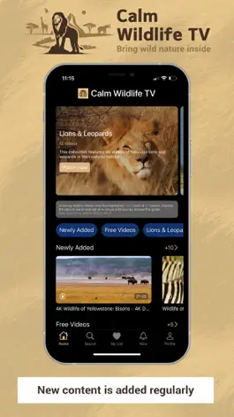 Game screenshot Calm Wildlife TV mod apk