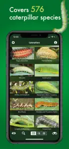 Caterpillar Id USA East Coast screenshot #2 for iPhone