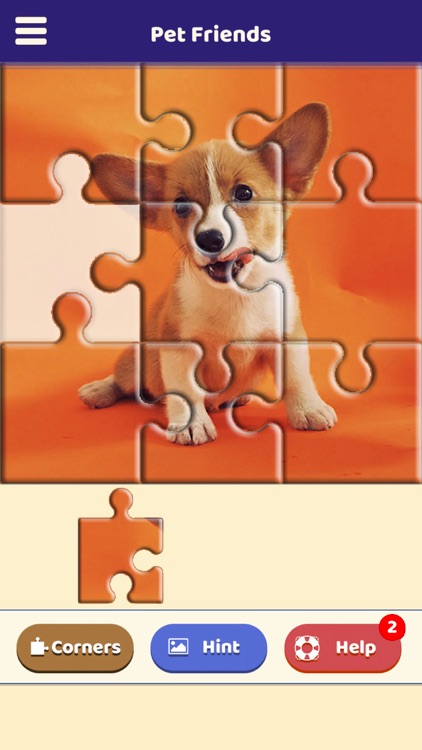 Pet Friends Puzzle