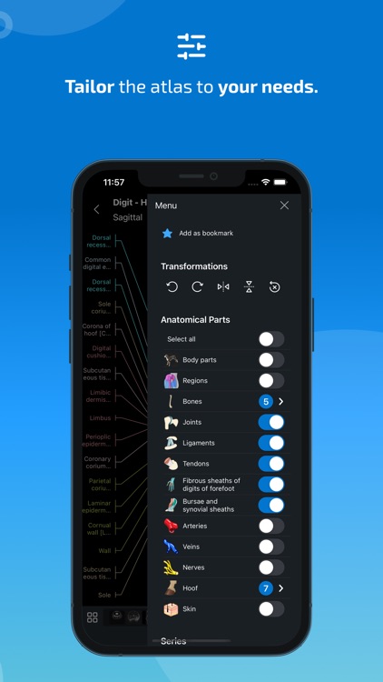 IMAIOS vet-Anatomy screenshot-5
