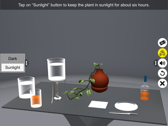 Screenshot #6 pour Chlorophyll & Photosynthesis