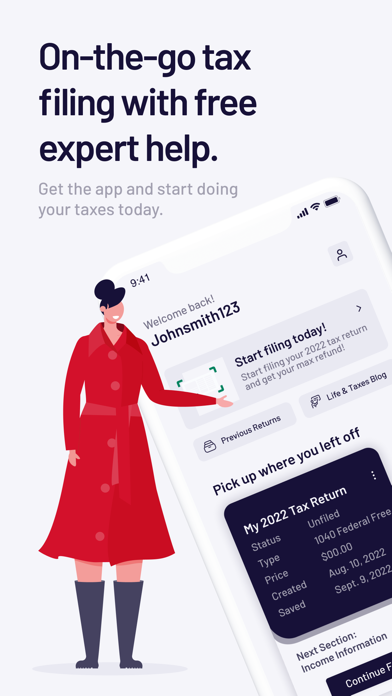TaxAct Express Screenshot