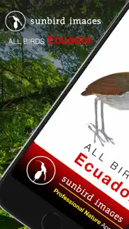 all birds ecuador field guide iphone screenshot 1