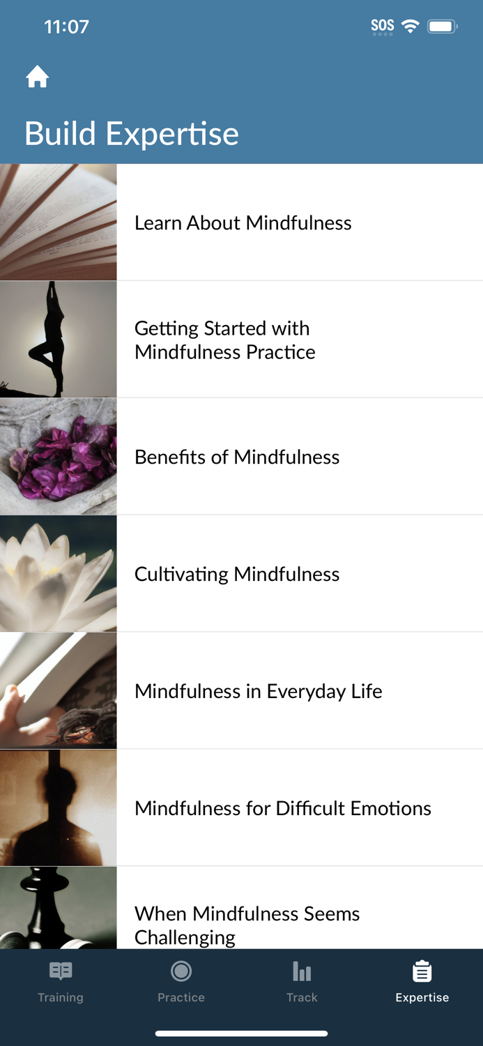 Mindfulness for Clinicians