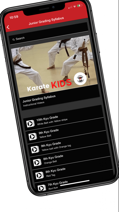 Kaishi Karate Screenshot