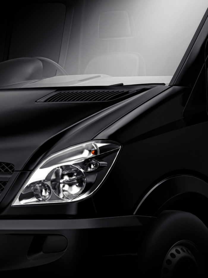 HF International Auctions