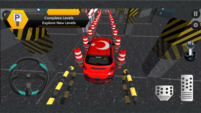 Park a Car in the Parking Lot Screenshot
