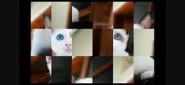 Game screenshot Adorable Cat Puzzles apk