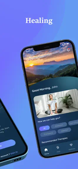 Game screenshot WellHeal apk