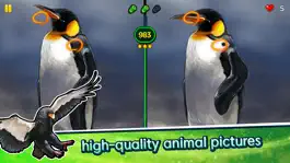 Game screenshot Find the Difference - Animals apk