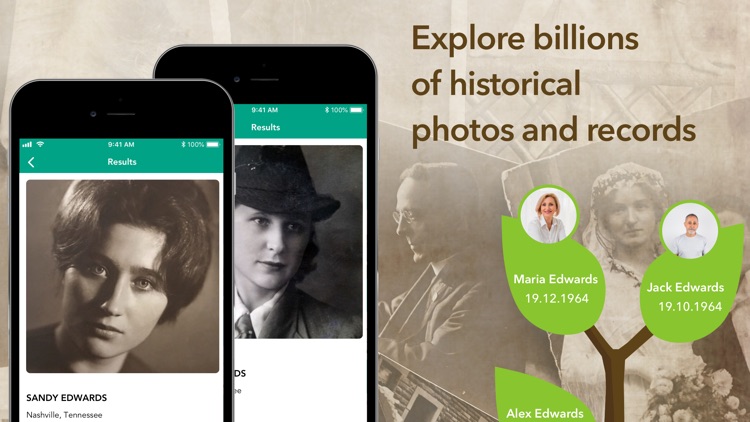 TreeOrigin. Family Tree Maker