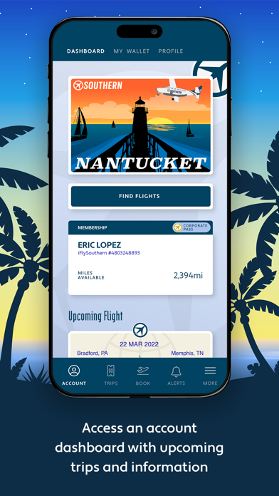 Southern Airways Screenshot