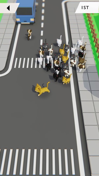 KITT.IO: Cat Arena Showdown Screenshot