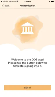 PaySim OOB App iphone bilder 3