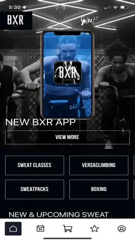 Game screenshot BXR mod apk