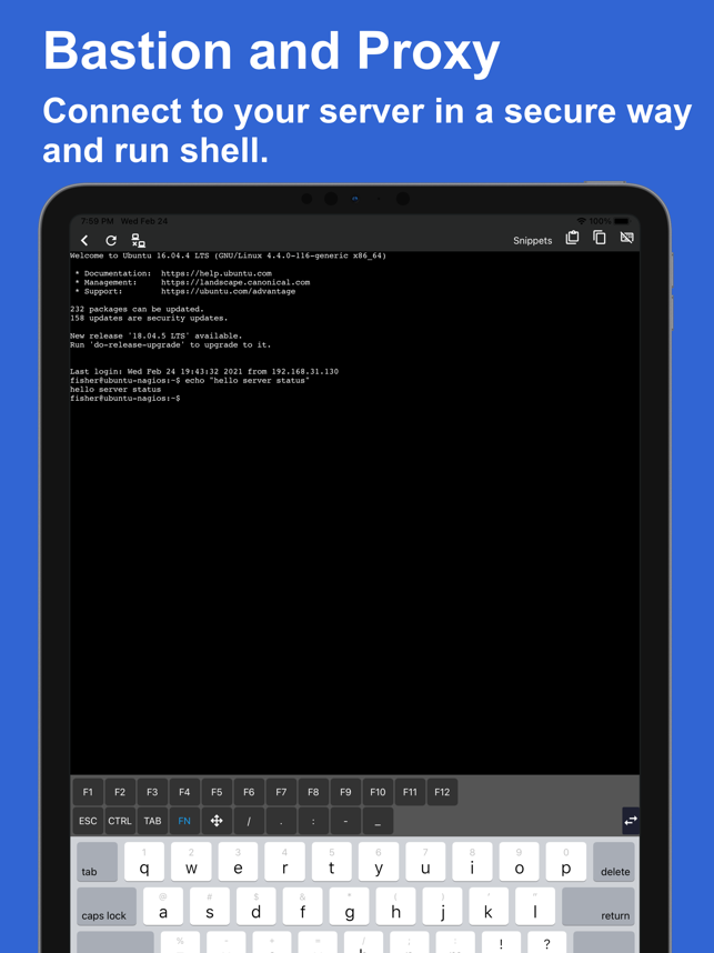 ‎ServerDog: Status, Terminal Screenshot