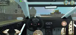 Game screenshot Rally Drive Simulator hack