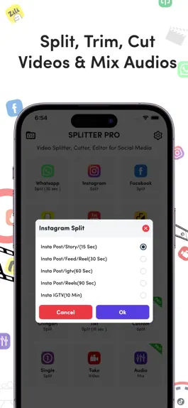 Game screenshot SplitterPro - Video Splitter hack