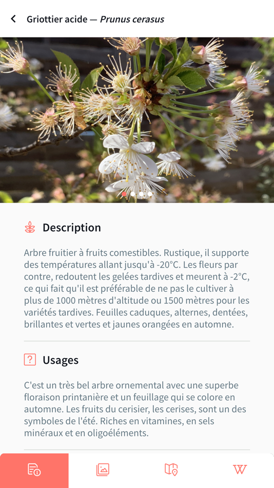 #6. Smart'Flore (iOS) 由: Tela Botanica