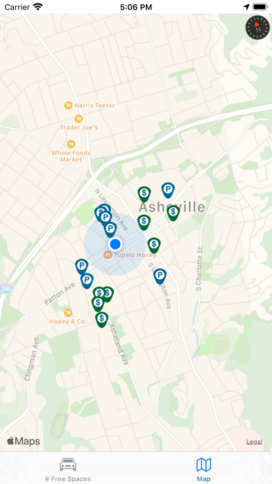 Asheville Parking Screenshot