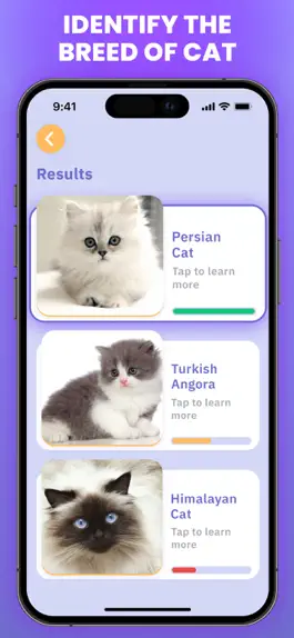 Game screenshot Cat Scanner : Breed Identifier apk