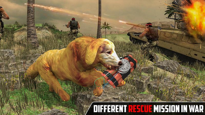 Army Dog Sergeant Stubby