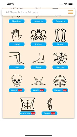Game screenshot Orthopedic Limbs Anatomy apk
