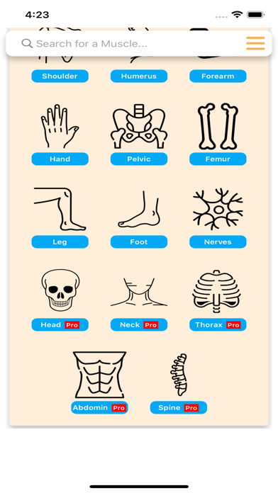 Orthopedic Limbs Anatomy Screenshot