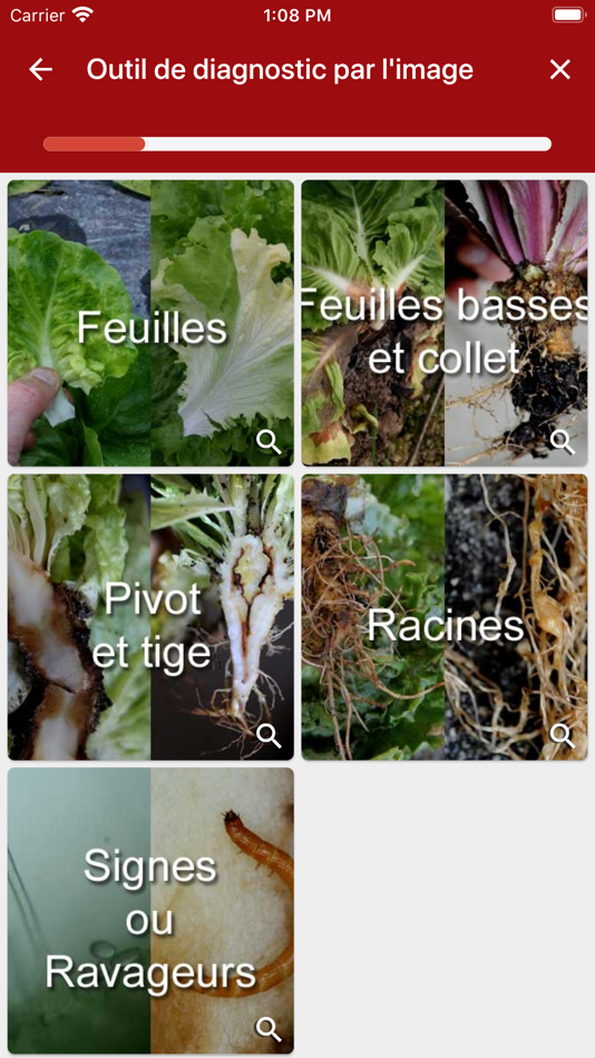 #2. Di@gnoPlant Salade (iOS) 由: INRA