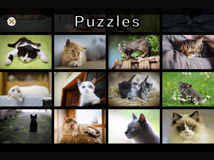 Adorable Cat Puzzles