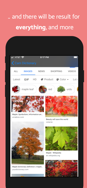 Cam Dictionary(圖5)-速報App