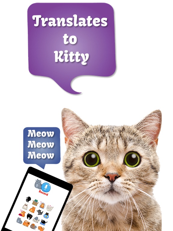 Screenshot #5 pour Cat Translate: talk to Kitten