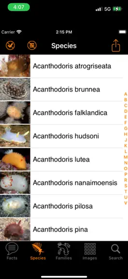 Game screenshot Nudibranch ID Eastern Pacific hack