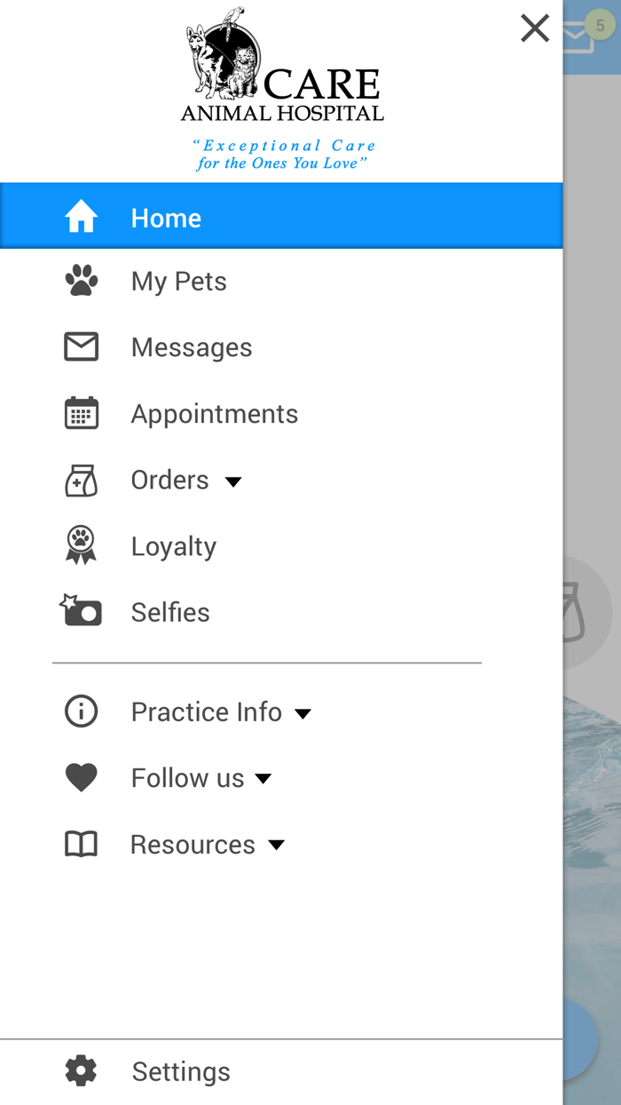 Care Animal Hospital Temecula