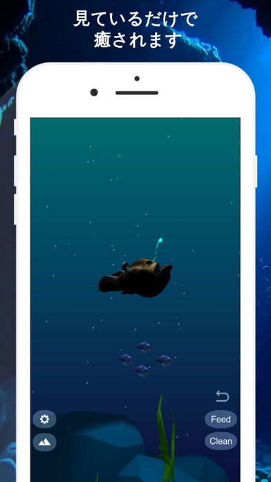 深海魚チョウチンアンコウの育成のおすすめ画像3