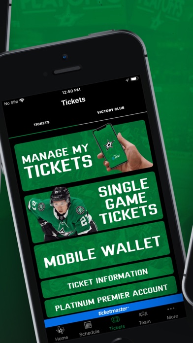 Dallas Stars Screenshot