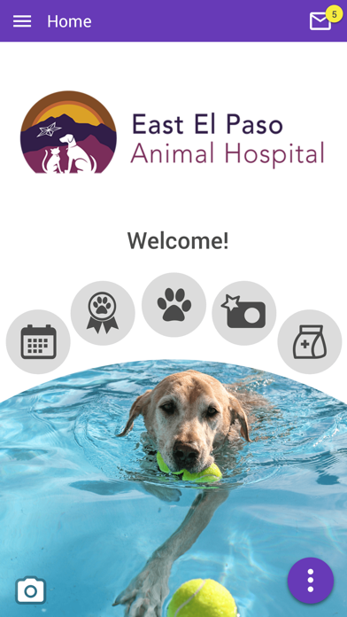 East El Paso Animal Hospital Screenshot