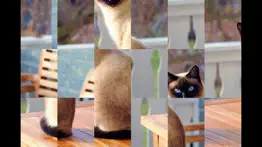 adorable cat puzzles iphone screenshot 1