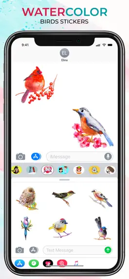 Game screenshot The Watercolor Birds hack