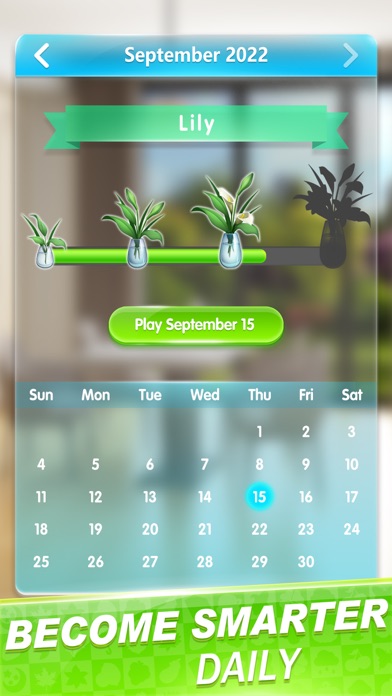 Home Match Master Screenshot