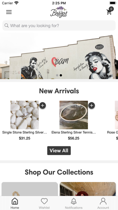 Brazos Avenue Market Screenshot