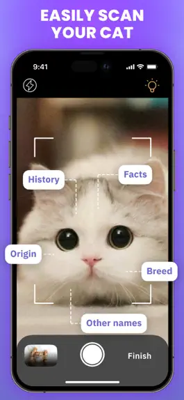Game screenshot Cat Scanner : Breed Identifier mod apk