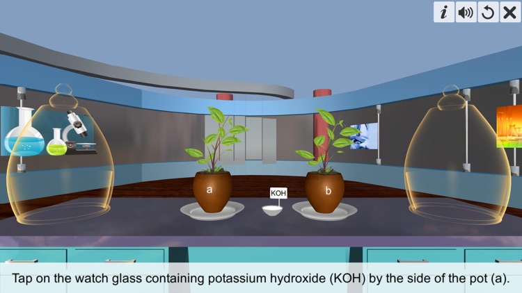 Carbon dioxide Photosynthesis