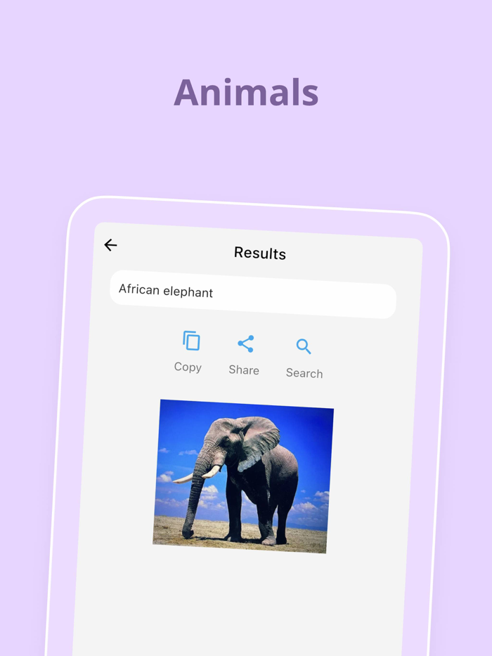 PictureIn-Plants Identifier