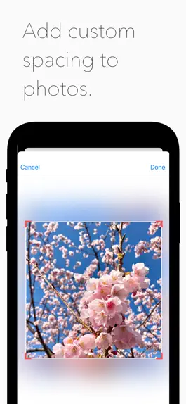 Game screenshot Grid Spacer mod apk