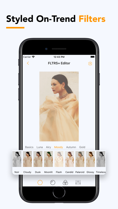 FLTRS: Photo Filters, Overlays Screenshot