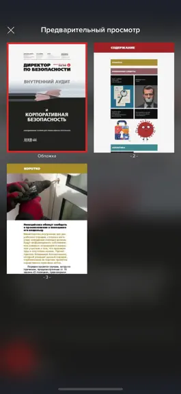 Game screenshot «Директор по безопасности» B2B hack